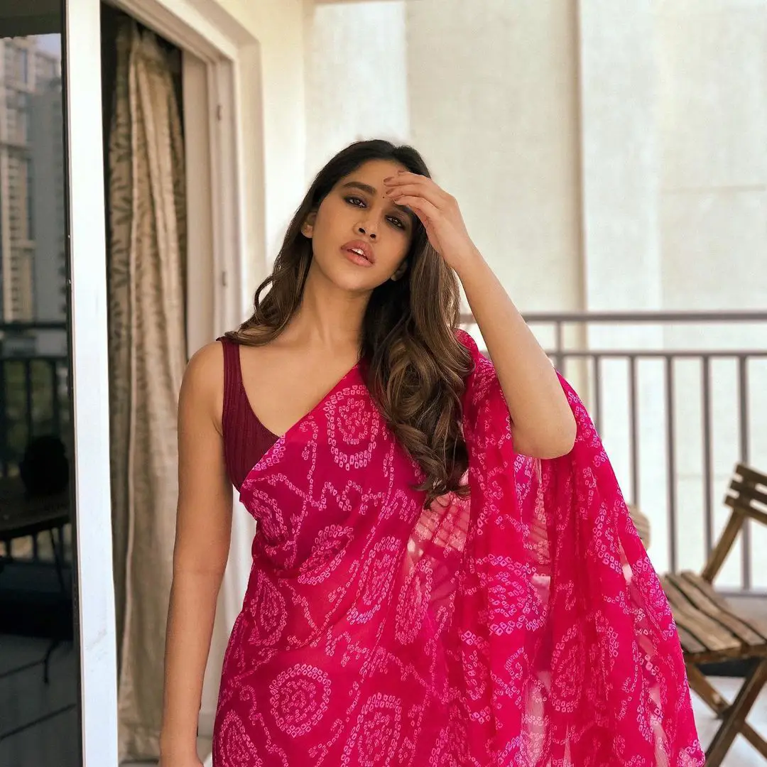 Nabha Natesh awasome looks in saree