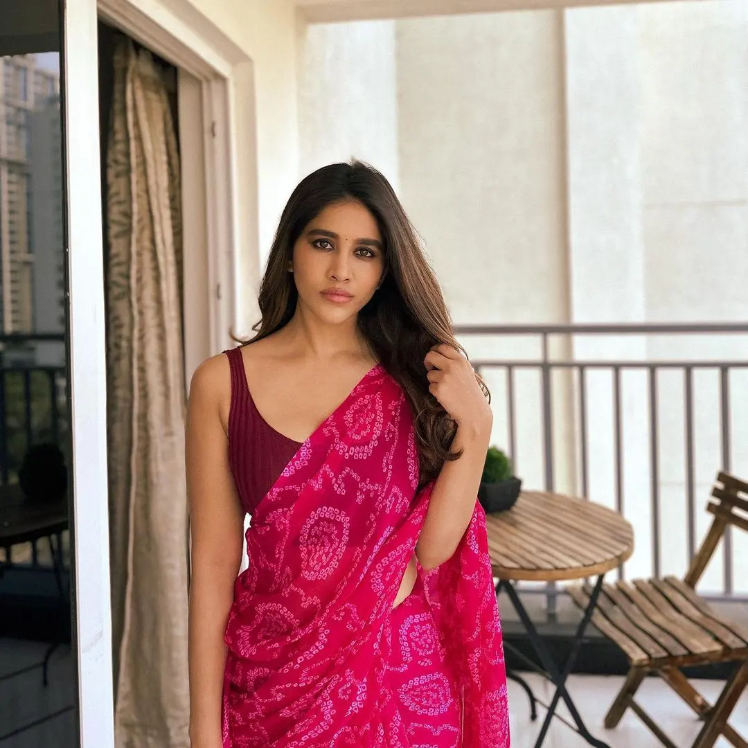 Nabha Natesh awasome looks in saree