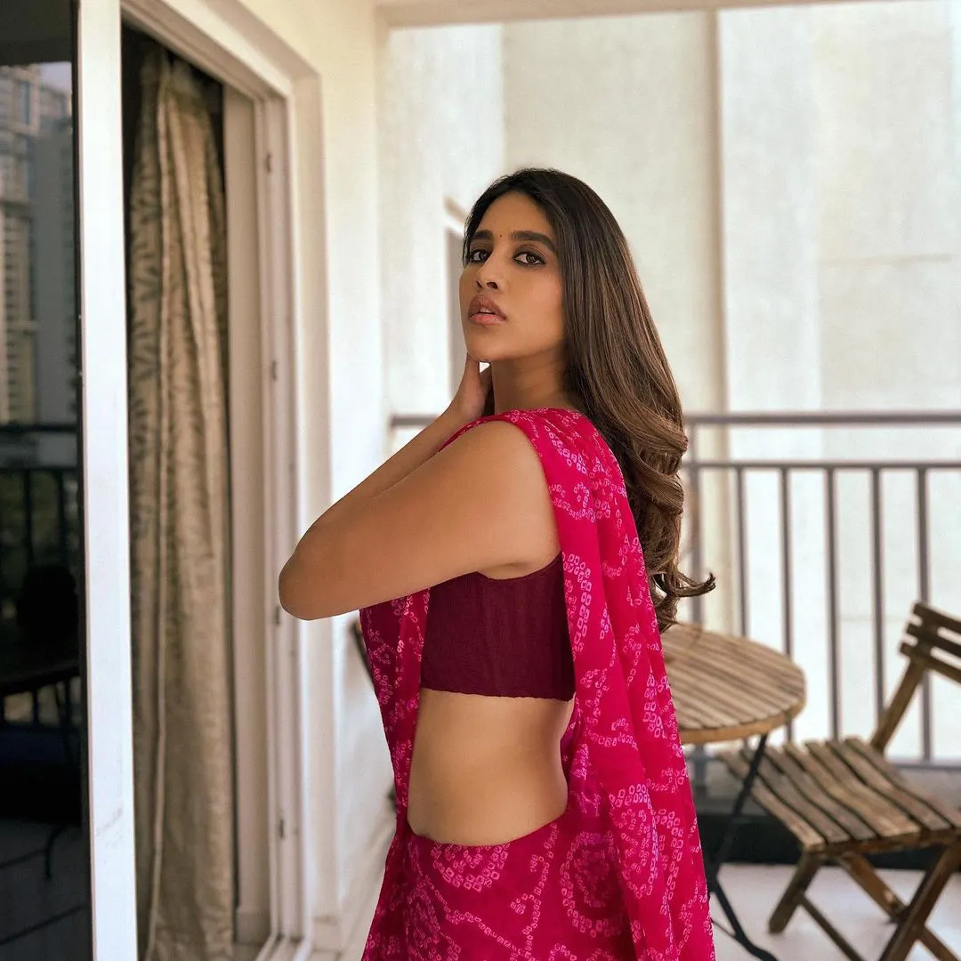 Nabha Natesh awasome looks in saree
