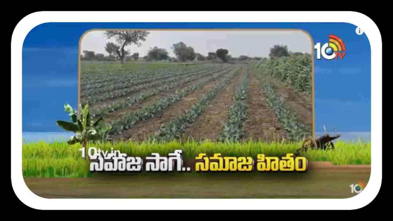 Natural Farming : తెలుగు రాష్ట్రాల్లో విస్తరిస్తున్న సేంద్రియ సాగు.. తక్కువ పెట్టుబడితో, నాణ్యమైన దిగుబడులంటున్న రైతులు