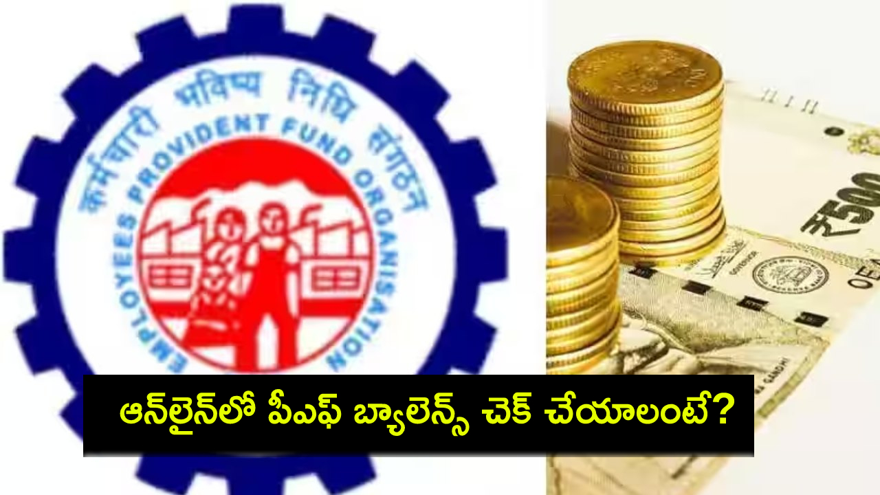 PF Balance Check : ఆన్‌లైన్‌లో PF బ్యాలెన్స్ చెక్ చేయడం తెలుసా? UAN ఎలా యాక్టివేట్ చేయాలంటే? ఇదిగో ప్రాసెస్..!