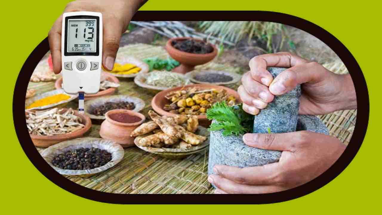Blood Sugar : రక్తంలో చక్కెర స్ధాయిలను నియంత్రణలో ఉంచటంలో సహాయపడే ఆయుర్వేద మూలికలు ఇవే !
