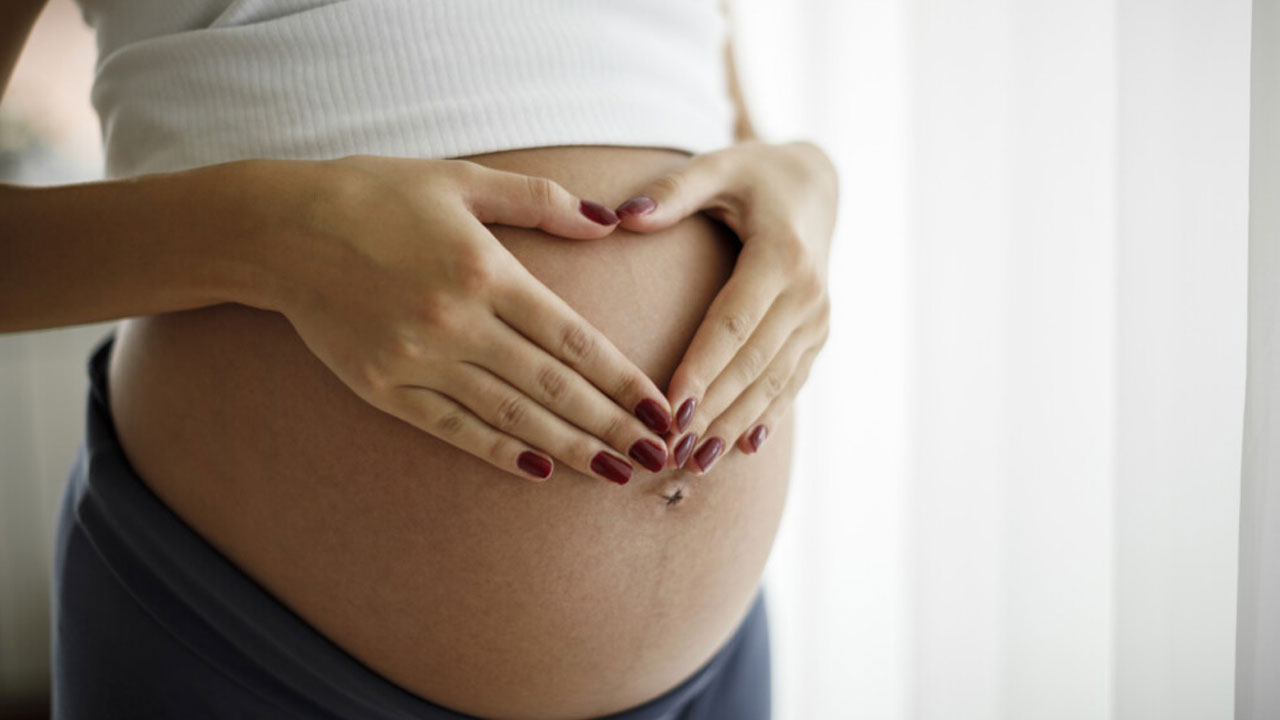 Samvardhinee Nyas: పిల్లలు కడుపులో ఉండగానే రామాయణం, గీత చెప్పాలట.. కొత్త ప్రచారం ప్రారంభించిన ఆర్ఎస్ఎస్