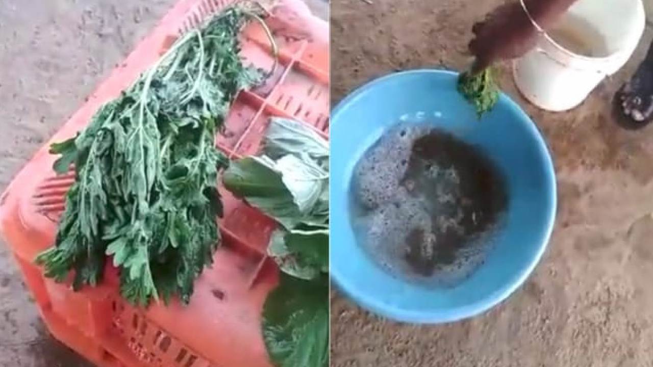 Viral Video: కెమికల్స్‌లో ముంచిన కూరగాయలు.. తర్వాత ఏమైందో తెలిస్తే షాక్
