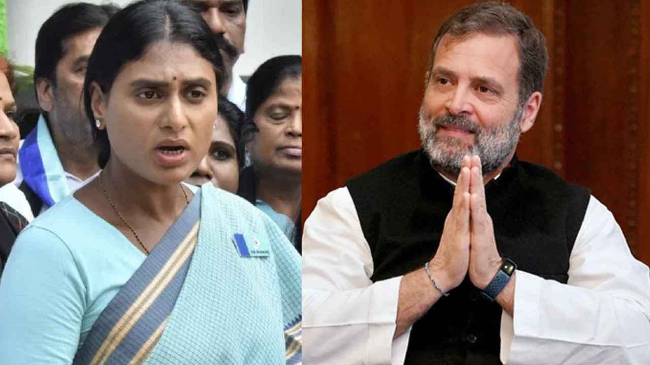 YS Sharmila : నిరంకుశ చర్య.. రాహుల్ గాంధీకి షర్మిల మద్దతు, మోదీ ప్రభుత్వంపై ఆగ్రహం