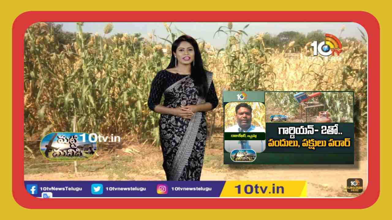 Crop Protection : అడవిపందులు, పక్షుల నుండి పంట రక్షణకోసం అందుబాటులోకి గార్డియన్ 2 పరికరం …