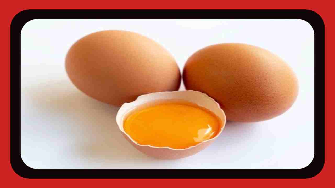 Egg Yolk : గుడ్డులోని పచ్చసొన తీసుకోవటం ఆరోగ్యానికి హానికరమా? నిపుణులు ఏంచెబుతున్నారంటే..