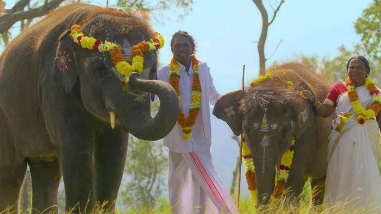 The Elephant Whisperers : ఆస్కార్ అందుకున్న రోజే ఎలిఫెంట్ విష్పరర్స్ ఏనుగులు మిస్సింగ్.. షాక్ లో చిత్రయునిట్..