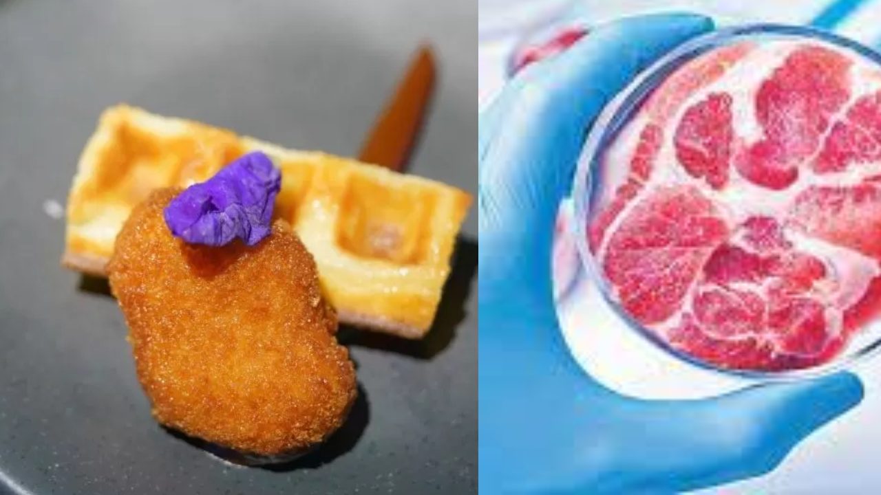 Italy : వారసత్వ ఆహారాన్ని కాపాడేందుకు.. ల్యాబ్‌లో ఉత్పత్తి చేసిన మాంసాన్ని నిషేధించనున్న ఇటలీ