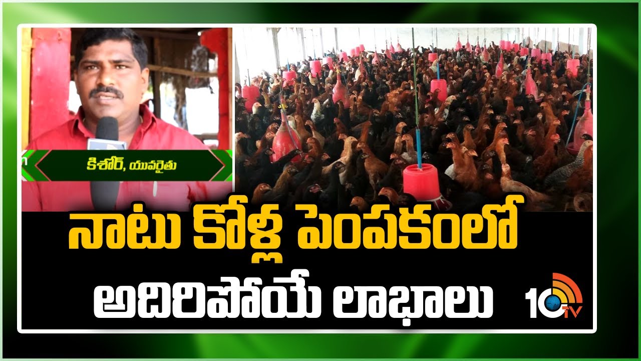 Natu Kodi Farming : నాటుకోడి పచ్చళ్లతో.. లాభాలు ఆర్జిస్తున్న పి.హెచ్.డి స్టూడెంట్