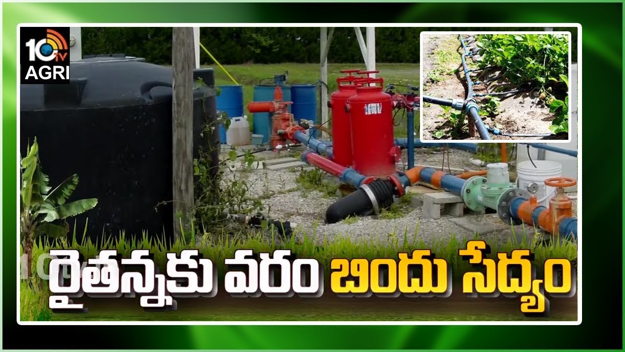 Drip Irrigation : తక్కువ నీటితోనే అధిక విస్తీర్ణంలో పంటల సాగు.. రైతులకు వరంగా బిందు సేద్యం