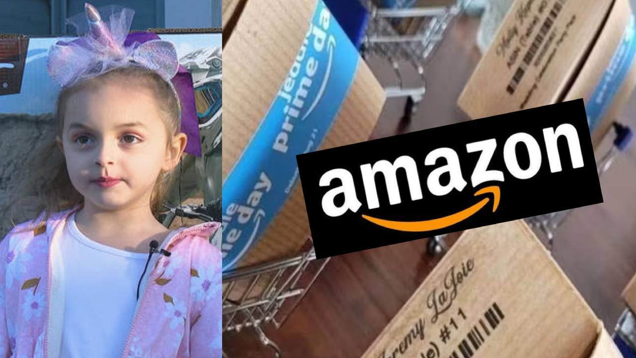 Amazon : అమెజాన్‌లో ఐదేళ్ల చిన్నారి రూ. లక్షలు విలువైన బొమ్మలు ఆర్డర్ .. తల్లి షాక్..!