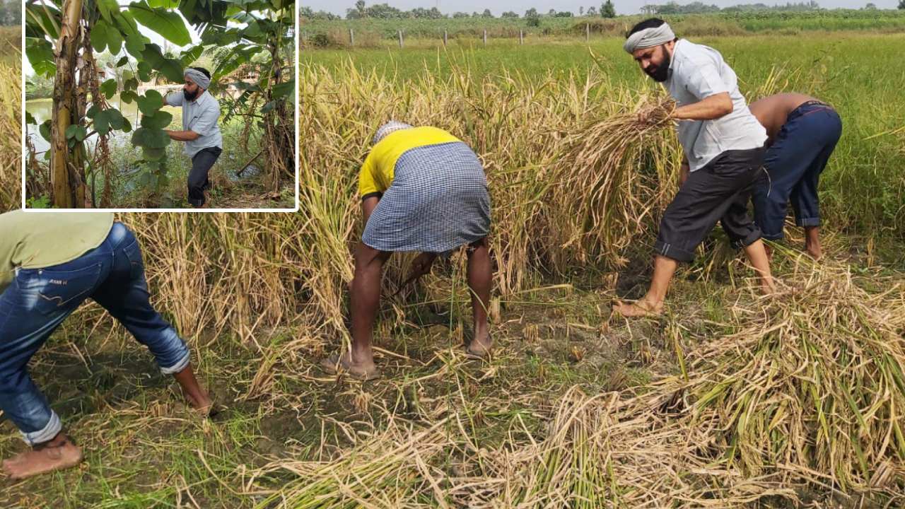 Alla Ramakrishna Reddy: రాజకీయాల్లో ఉన్నంత వరకు జగన్‌తోనే.. అలాకాకుంటే పొలంలో పనిచేసుకుంటా..