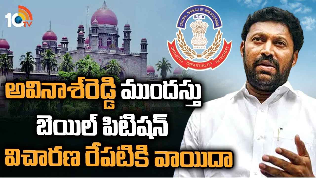 Avinash Reddy Bail : అవినాశ్ రెడ్డి ముందస్తు బెయిల్ పిటిషన్.. హైకోర్టు కీలక వ్యాఖ్యలు