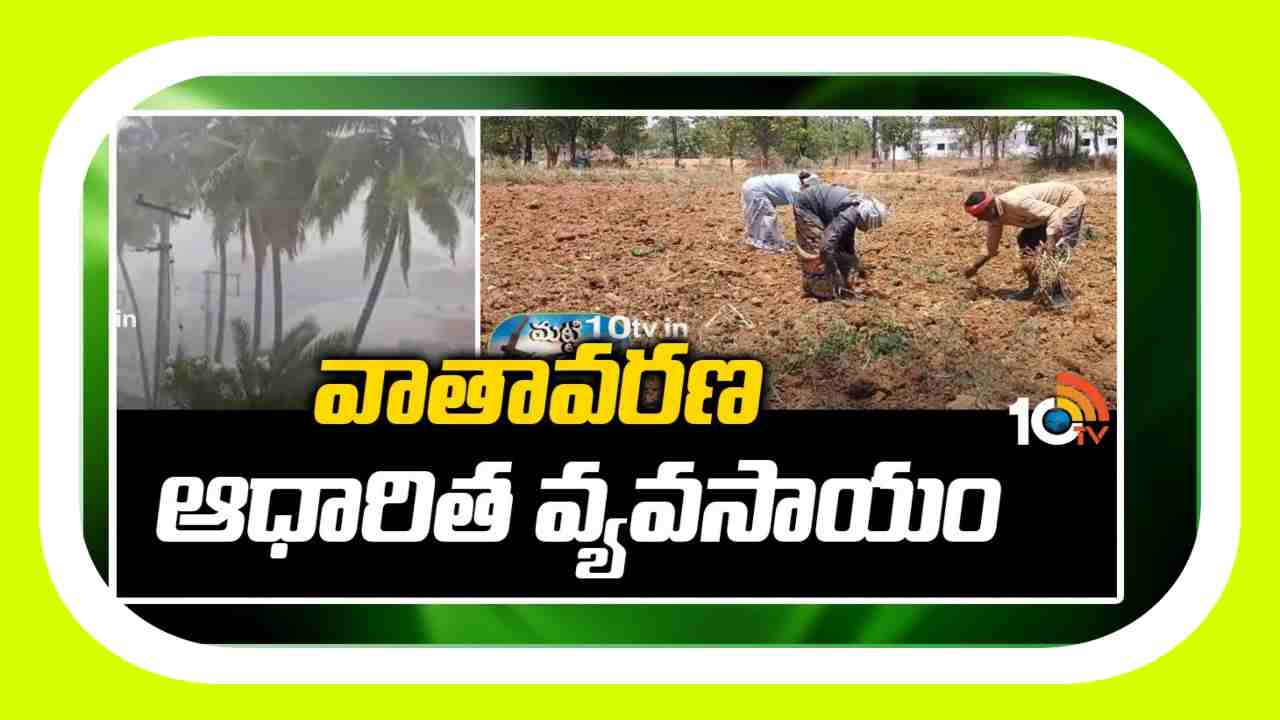 Climate Agriculture : శాస్త్రవేత్తలు అందిస్తున్న వాతావరణ అధారిత వ్యవసాయ సూచనలు