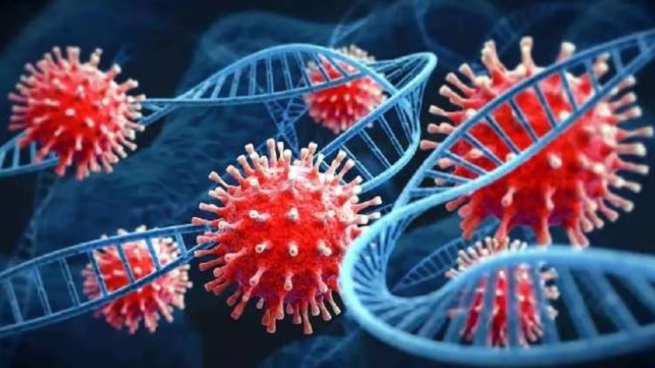 Corona Cases : దేశంలో కొత్తగా 12,591 కరోనా కేసులు, 40 మంది మృతి