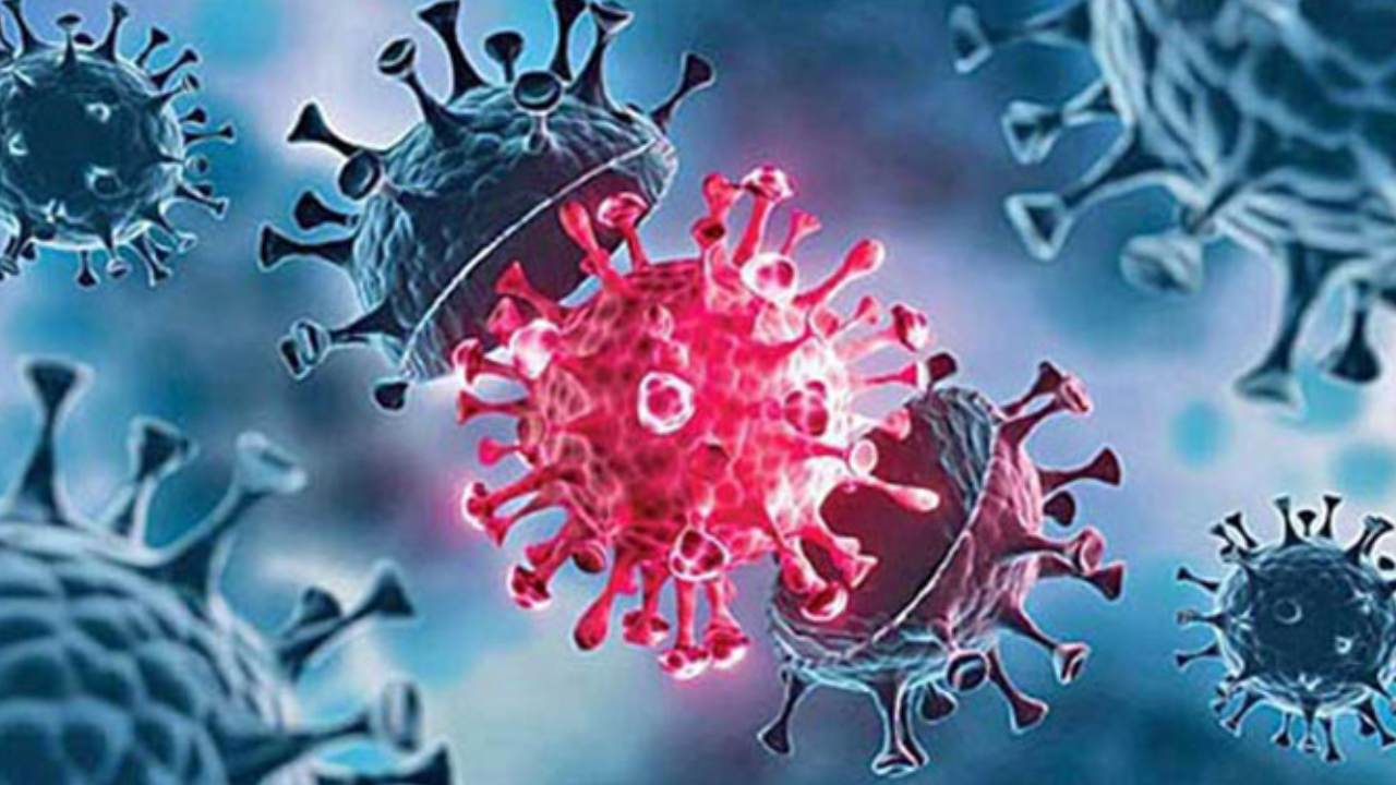 Corona Cases : దేశంలో మళ్లీ కరోనా విజృంభణ.. ఢిల్లీ, కేరళలో భారీగా పెరిగిన పాజిటివ్ కేసులు