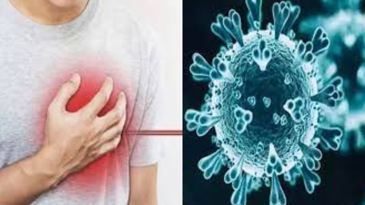 Corona Heart Attack : కరోనా సోకిన వారికి గుండెపోటుతోపాటు అనేక రోగాలు!
