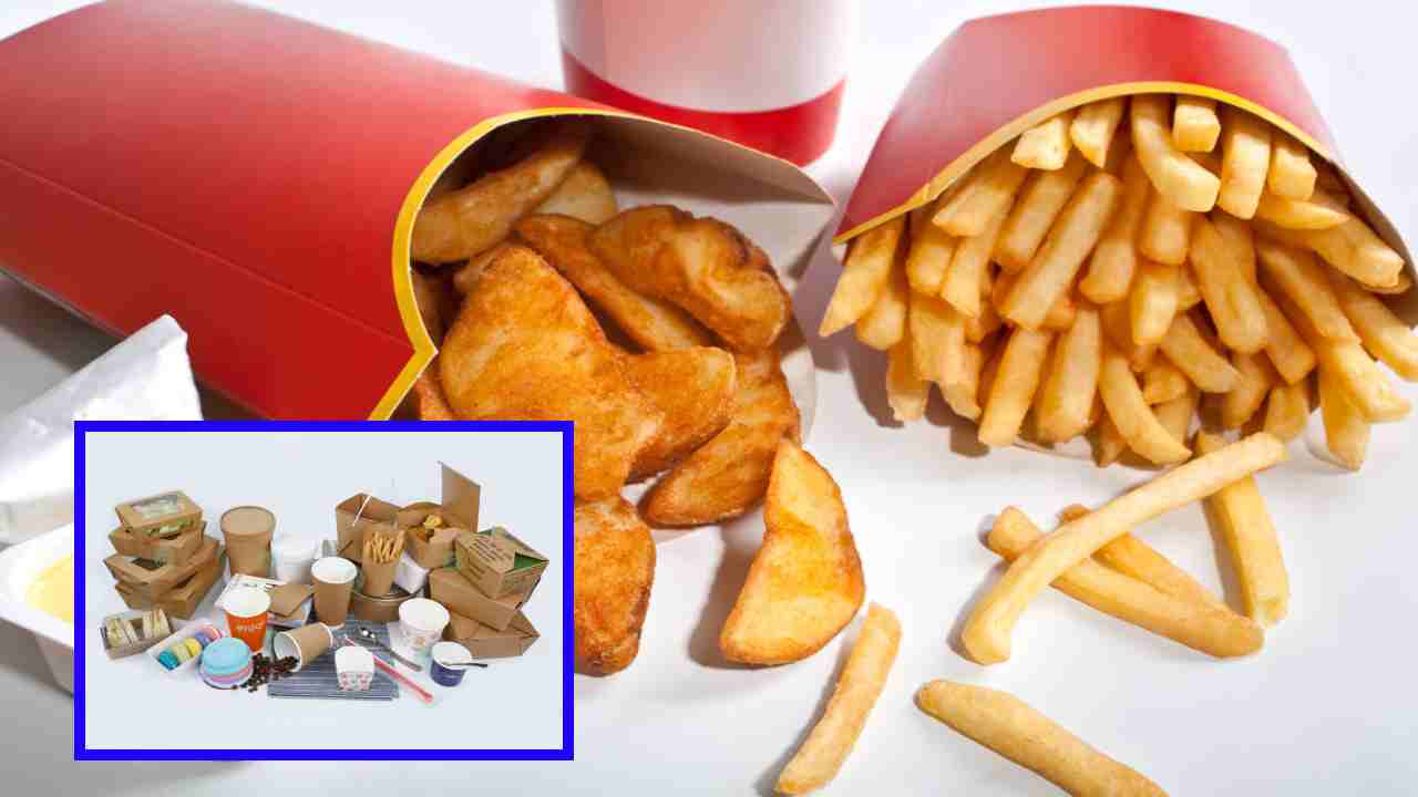 Toxic chemicals : బయోడిగ్రేడబుల్ పేపర్ బౌల్స్ లో నిల్వఉంచే ఆహార పదార్ధాలలో విషపూరిత రసాయనాలు! అధ్యయనాల్లో వెల్లడి