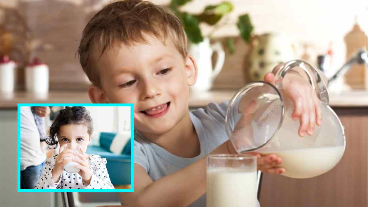 Drink Milk Every Day : పిల్లలు ప్రతిరోజూ పాలు తాగాల్సిన అవసరం ఉందా? ఇది పిల్లలకు మంచిదా?