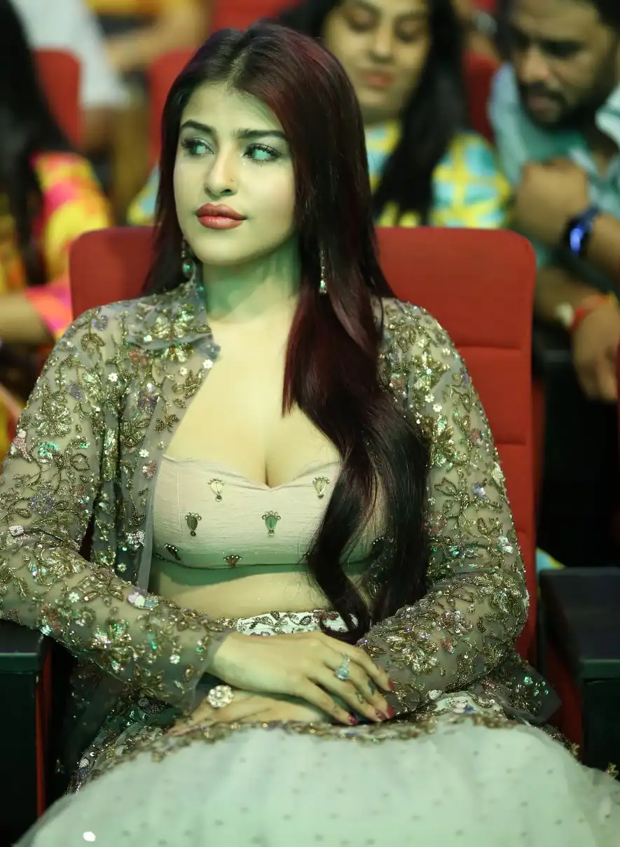 Model Edin Rose stylish looks in Ravanasura Pre Release Event