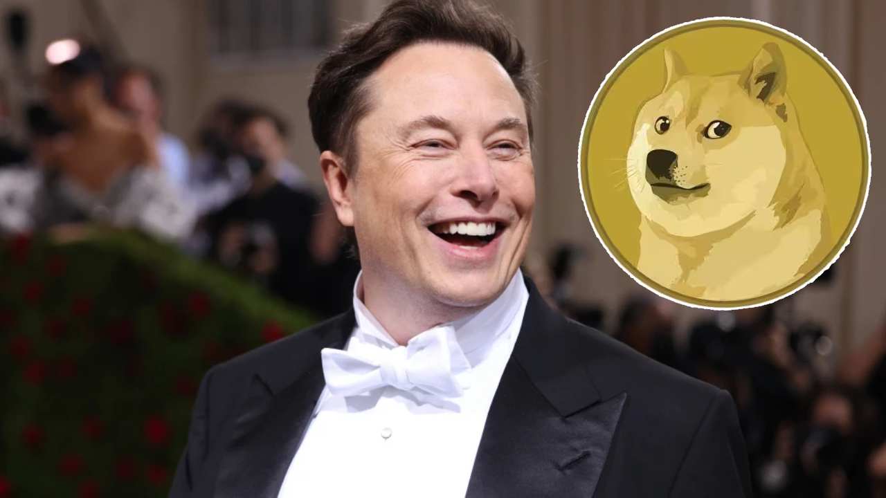 Twitter Logo Changed: పిట్ట పోయింది డాగ్‍‌‌ వచ్చింది..! ట్విటర్‌లో కనిపించని బ్లూ బర్డ్.. అయోమయంలో నెటిజన్లు..