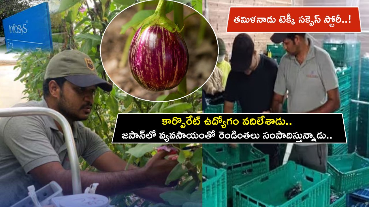 Infosys Techie : కార్పొరేట్ ఉద్యోగం వదిలేసి.. జపాన్‌లో వ్యవసాయంతో రెండింతలు సంపాదిస్తున్నాడు.. తమిళనాడు టెక్కీ సక్సెస్ స్టోరీ..!