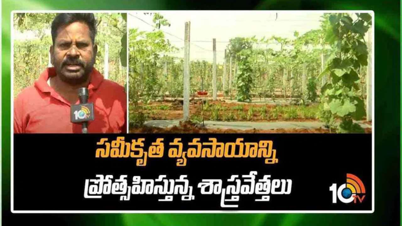 Integrated Agriculture : సమీకృత వ్యవసాయంతోనే స్థిరమైన ఆర్థిక వృద్ధి.. రైతుకు భరోసానిస్తున్న పలు పంటలు, అనుబంధ రంగాలు
