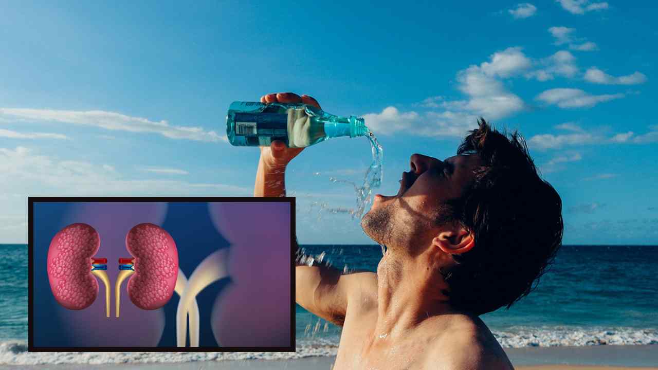 Kidney Health In Summer : వేసవిలో కిడ్నీ ఆరోగ్యాన్ని కాపాడుకునేందుకు ముఖ్యమైన జీవనశైలి మార్పులు ఇవే !