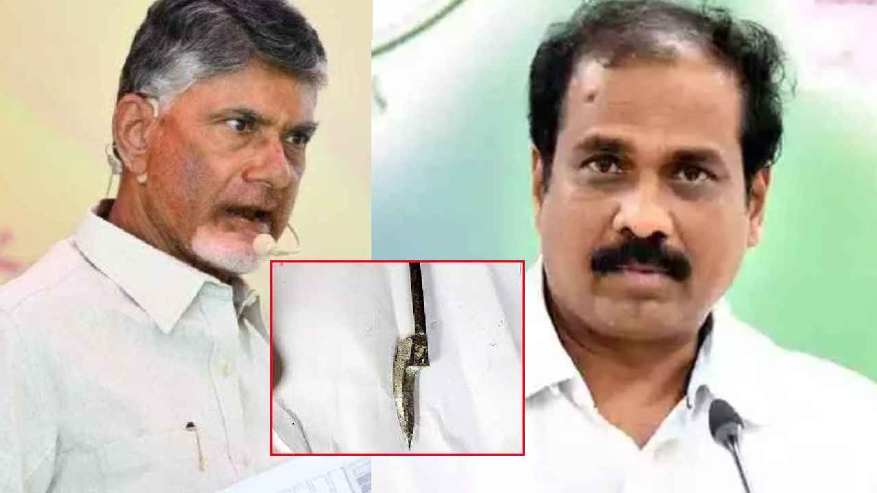 Kurasala Kannababu : బాబుగారూ.. ఎప్పుడైనా కోడికత్తి చూశారా? అదెంత షార్ప్‌గా ఉంటుందో- కన్నబాబు ఫైర్