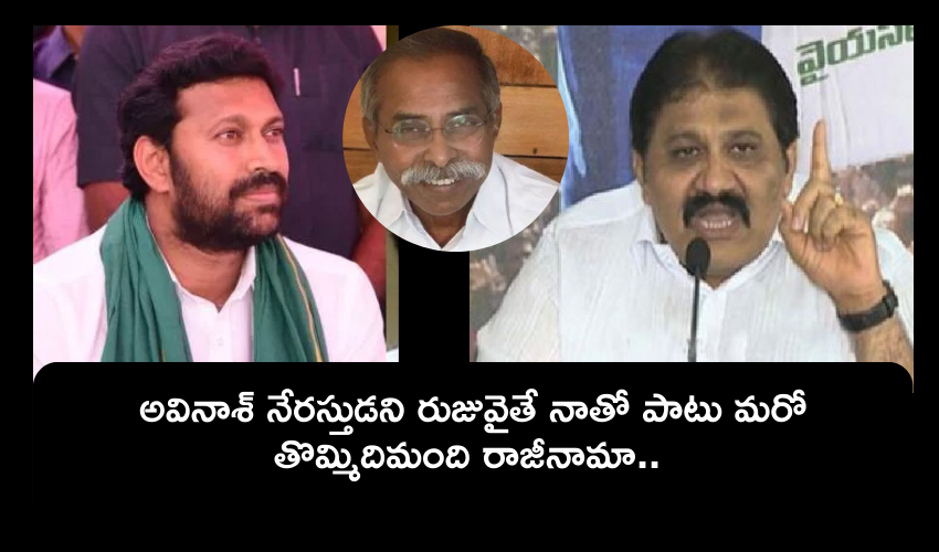 YS Viveka Case : ఇక అవినాష్ రెడ్డి అరెస్టు తప్పదు.. నేరం రుజువైతే నాతో పాటు మరో 9మంది రాజీనామా : వైసీపీ ఎమ్మెల్యే