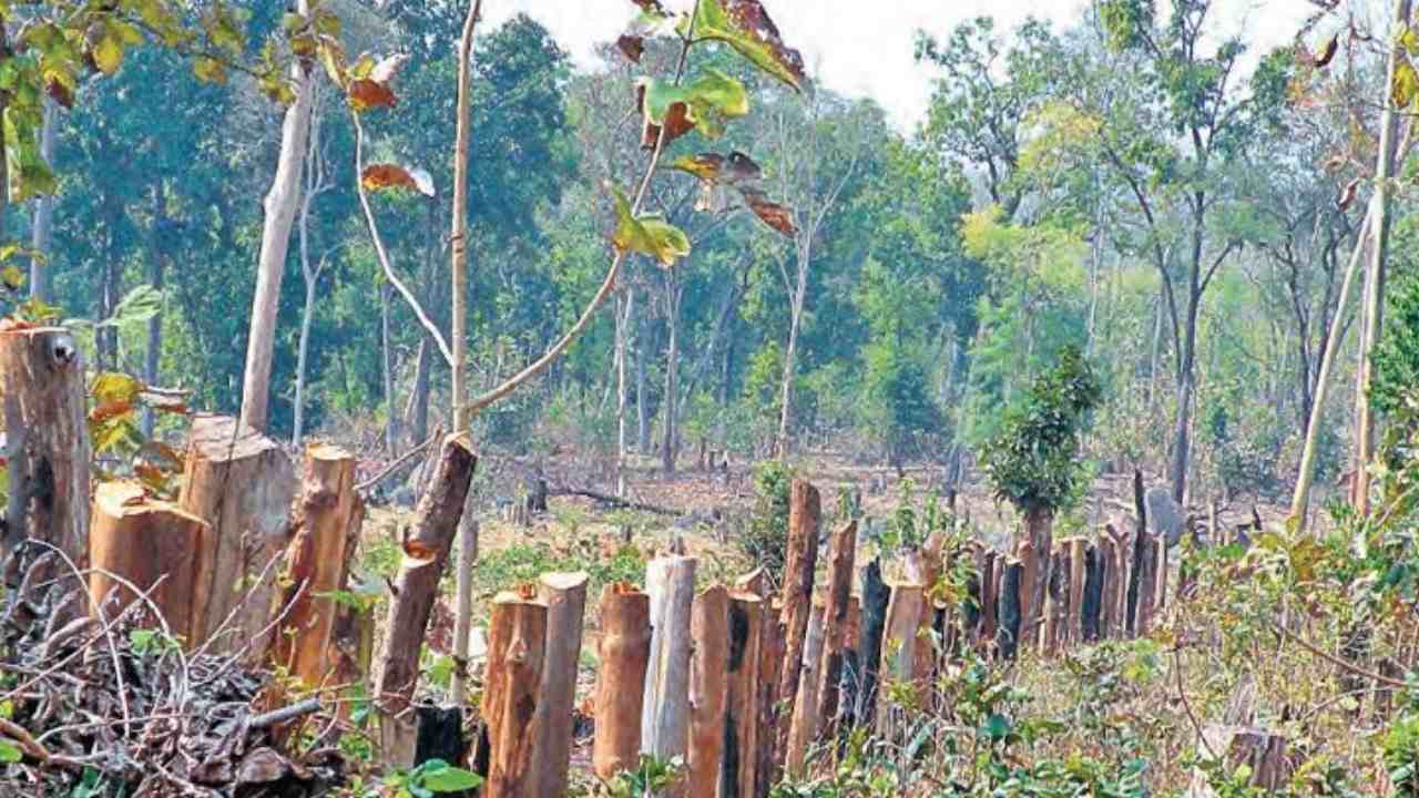 Maharashtra : మహారాష్ట్ర ఆరే అటవీ ప్రాంతంలో చెట్లు నరికివేత.. ముంబై మెట్రోకు రూ.10 లక్షల జరిమానా