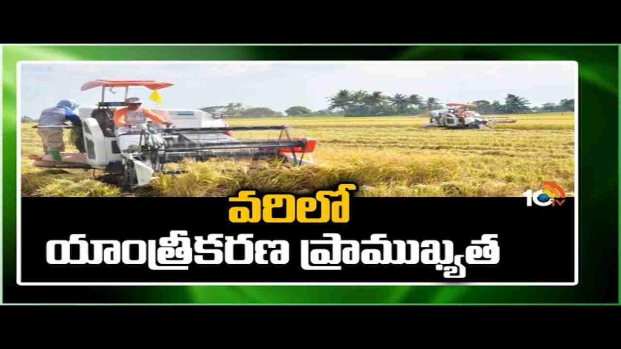 Mechanization in Paddy : వ్యవసాయంలో కూలీల కొరత.. అధిగమించేందుకు యాంత్రీకరణ