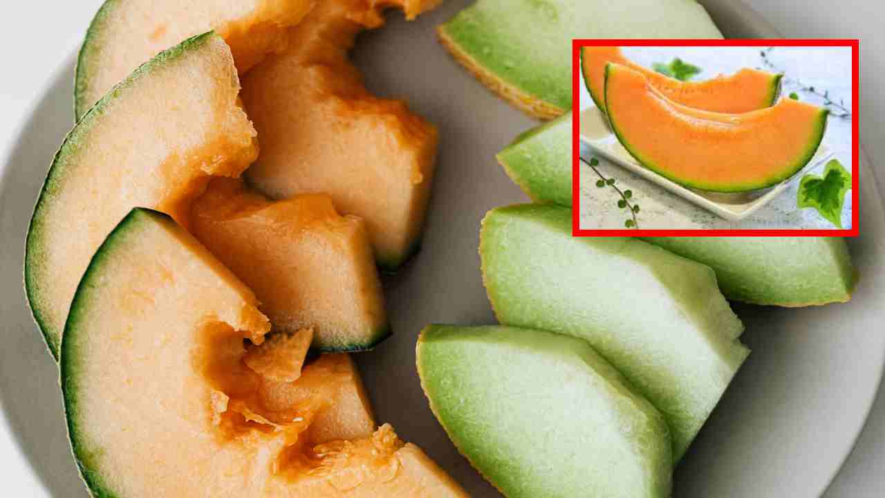 Musk Melon : బరువు తగ్గడానికి వేసవిలో కర్బూజా తీసుకోవటం వల్ల ఎలాంటి ప్రయోజనమంటే ?