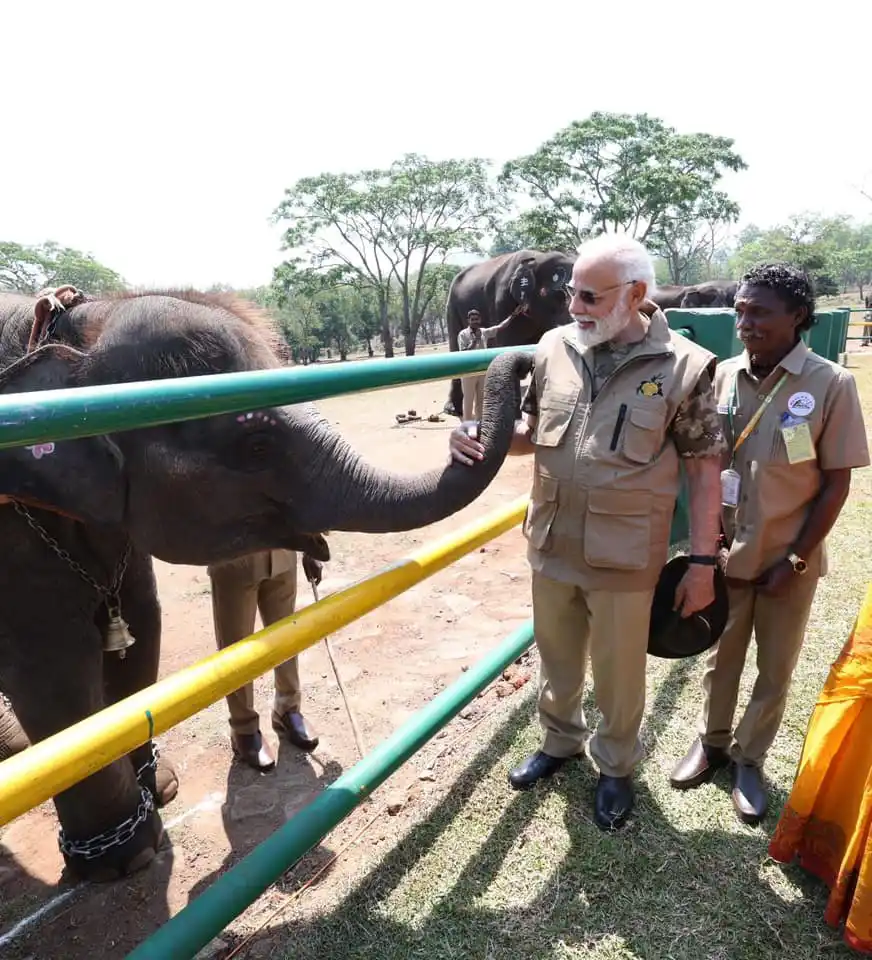 Narendra Modi visits Bandipur & Mudumalai reserves