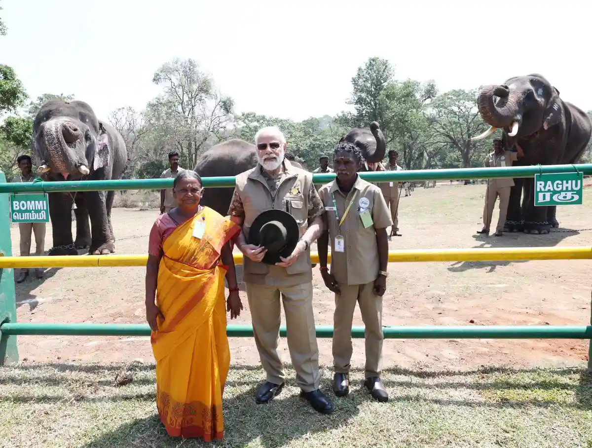 Narendra Modi visits Bandipur & Mudumalai reserves