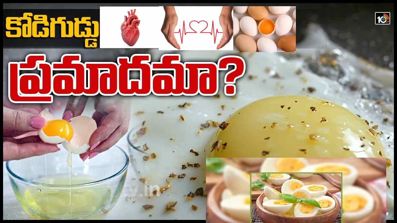 Eggs: మనం ప్రతిరోజు తినే గుడ్ల గురించి 5 అపోహలు.. నిజాలు