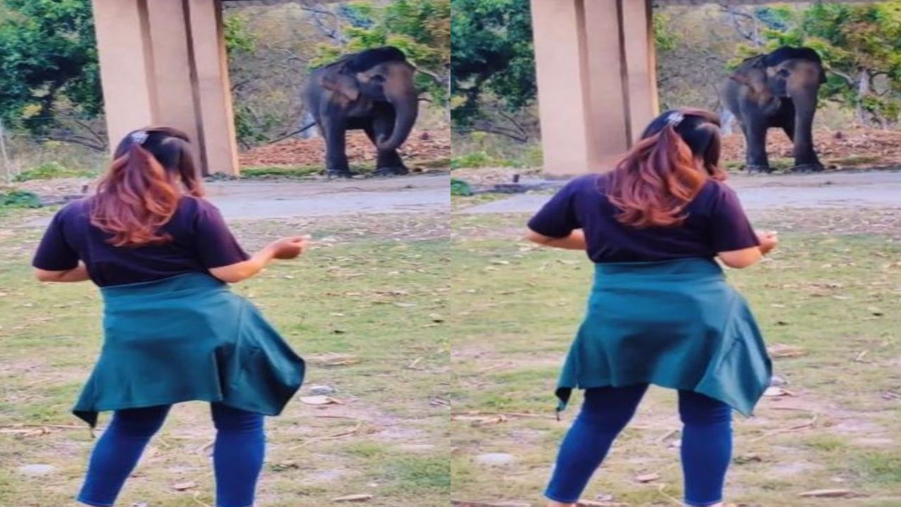 Elephant dance viral : ఏనుగుపై స్వారీ చేసి వాటిని ఇబ్బంది పెట్టకండి.. ఏనుగు డ్యాన్స్ వీడియో చూసి నెటిజన్ల కామెంట్స్