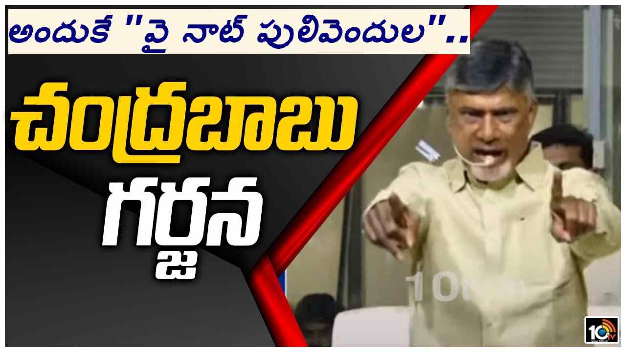 Chandrababu: టీడీపీ అధికారంలోకి వస్తే వీటిని తొలగిస్తామని తప్పుడు ప్రచారం.. మైండ్ గేమ్ ఆడుతున్నారు: చంద్రబాబు
