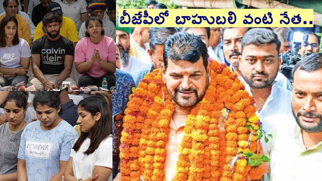 Wrestlers vs WFI: దేశ వ్యాప్తంగా విమర్శలు వస్తున్నా WFI చీఫ్‌పై బీజేపీ ఎందుకు చర్యలు తీసుకోవట్లేదు.. బ్రిజ్ భూషణ్ ఎవరు?