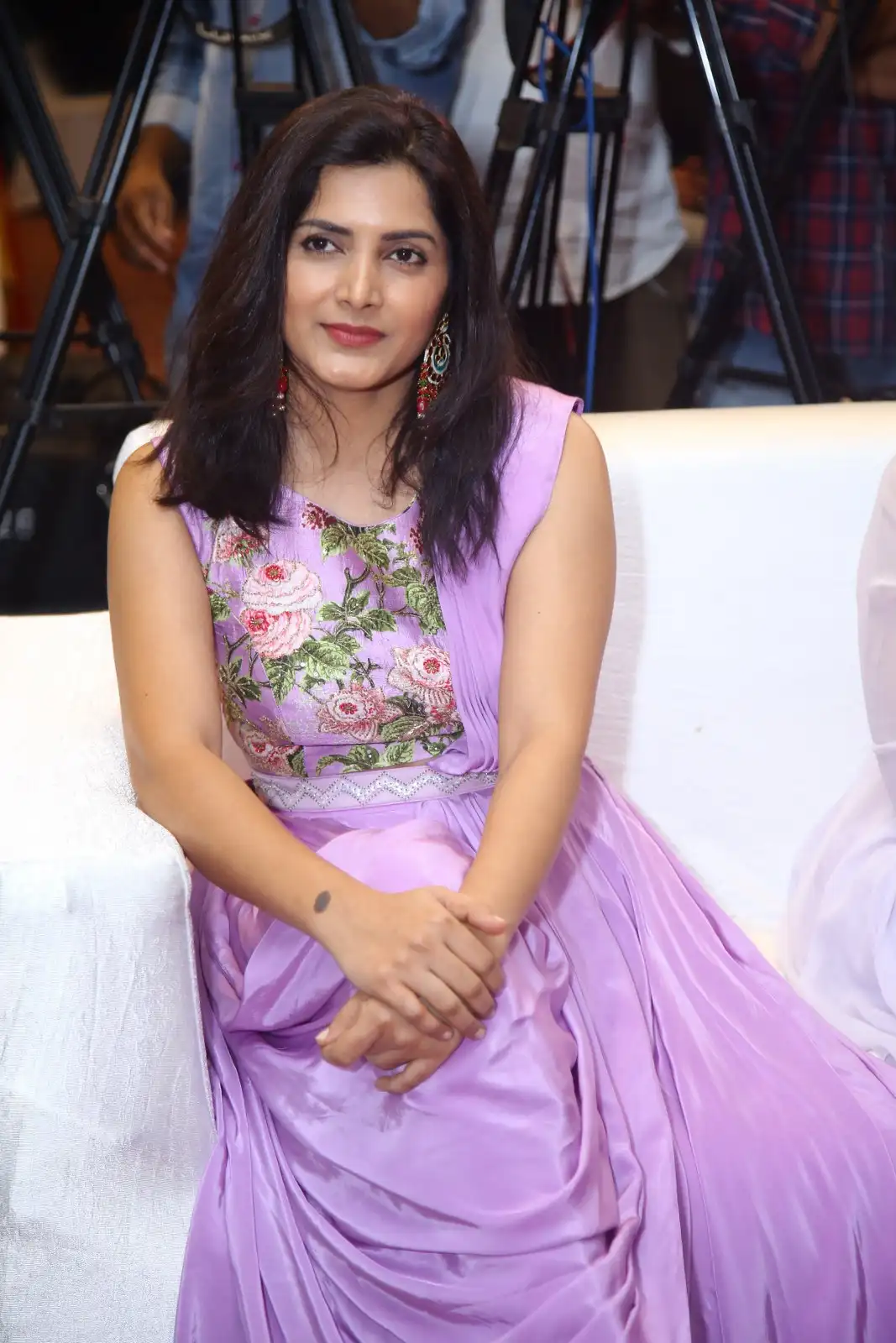 Save The Tigers Web Series Press Meet