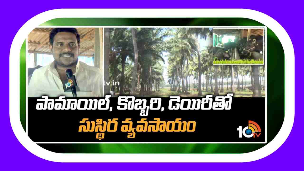 Sustainable Agriculture : పామాయిల్, కొబ్బరి, డెయిరీ తో సుస్థిర వ్యవసాయం