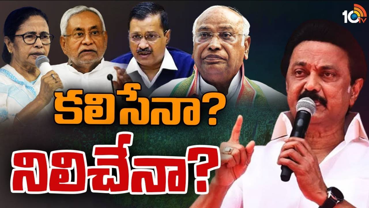 PM Modi-CM Stalin : టార్గెట్ మోదీ .. 21 పార్టీల నేతలతో ఢిల్లీలో సీఎం స్టాలిన్ సమావేశం..