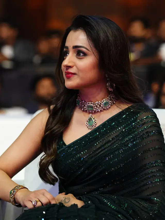 Trisha Krishnan Mesmerizing Looks in Black Saree