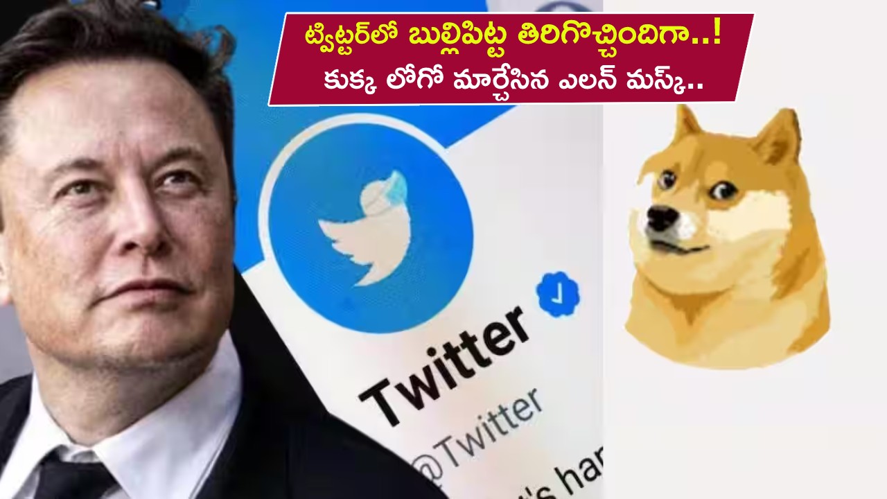 Twitter Bird Logo : బుల్లిపిట్ట తిరిగొచ్చింది.. ట్విట్టర్‌‌ ‘డాగీ కాయిన్’ లోగో మార్చేశాడు.. మస్క్ మామూలోడు కాదుగా..!