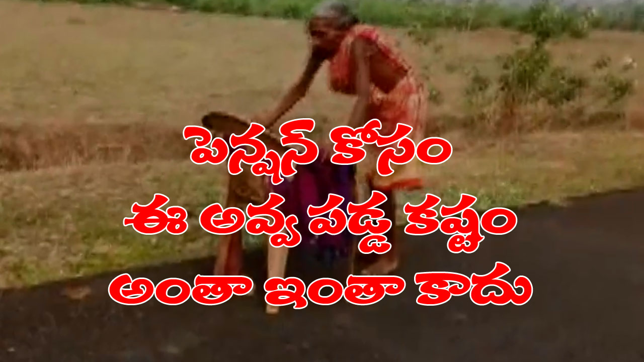 Odisha: పెన్షన్ తీసుకోవడానికి ఒక అవ్వ పడ్డ కష్టం అంతా ఇంతా కాదు.. విరిగిన కుర్చీ సాయంతో కిలోమీటర్ల దూరంలోని బ్యాంకుకు వెళ్లిన వీడియో చూస్తే గుండె తరుక్కు పోకుండా ఉండదు
