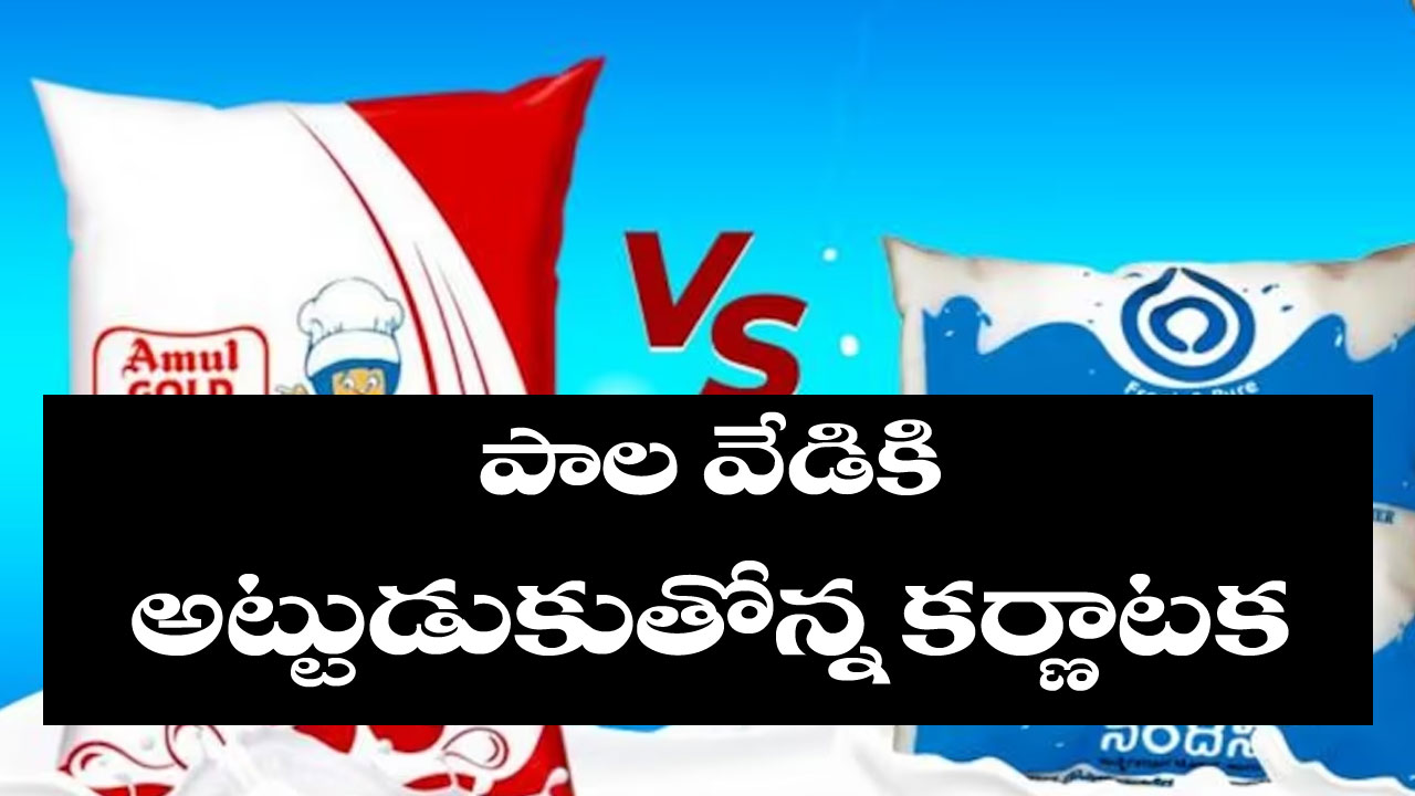 Karnataka Polls: కర్ణాటకలో ముదిరిన పాల యుద్ధం.. అసెంబ్లీ ఎన్నికలో బీజేపీకి ఎదురు దెబ్బ తప్పదా?