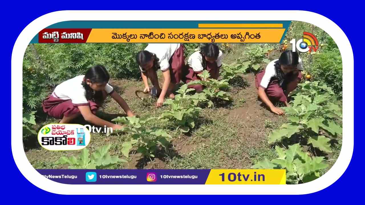 Vegetables : స్కూలే తోట.. విద్యార్థులే రైతులు.. కూరగాయలు పండిస్తున్న విద్యార్థులు