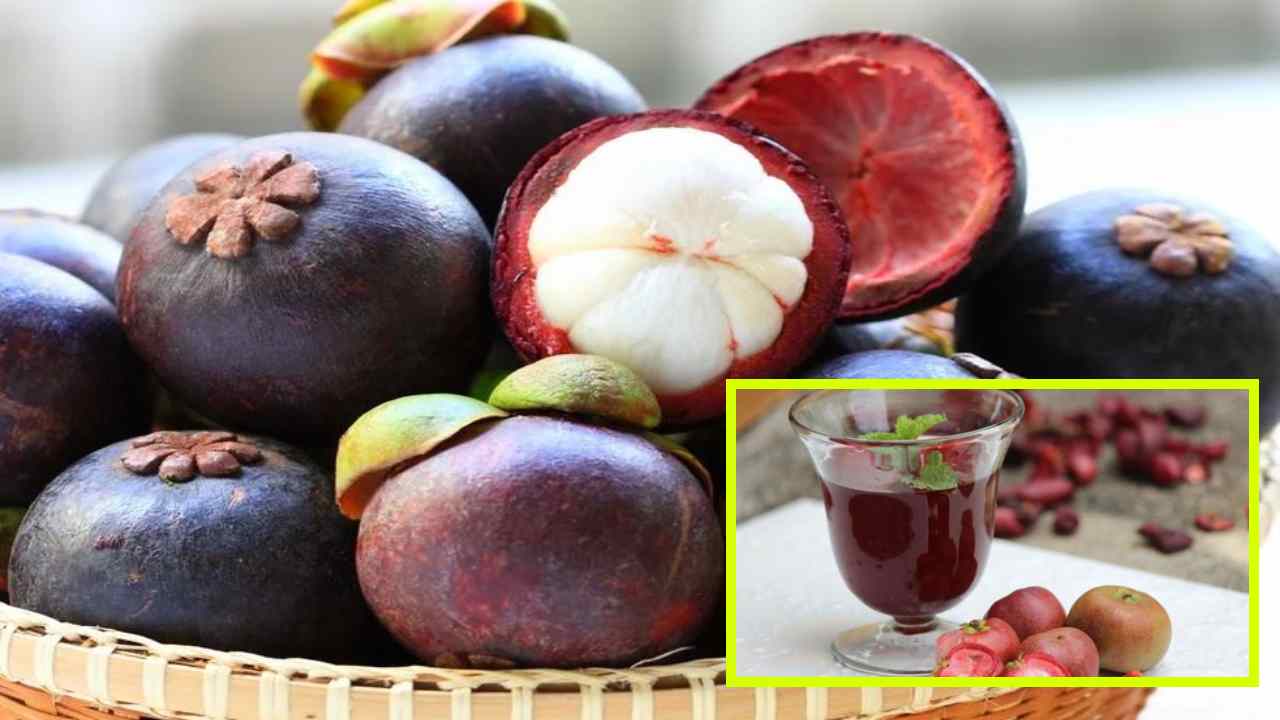 Kokum Fruit : వేసవి సూపర్‌ఫ్రూట్ కోకుమ్ పండు ఆరోగ్య ప్రయోజనాల గురించి మీకు తెలుసా?