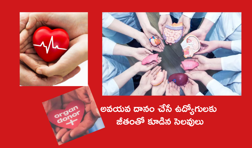 Organ Donation  : అవయవ దానం చేసే ఆ ఉద్యోగులకు వేతనంతో కూడిన 42 రోజుల సెలవులు..